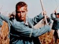tribute to paul newman