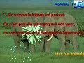 AsamiO nature