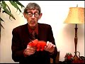 Types of Dinosaurs : Triceratops Dinosaur Facts Types of Dinosaurs : Triceratops Dinosaur Facts