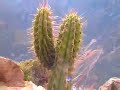 Peru Driving: Arequipa to Chivay to Colca Canyon
