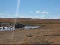 Southern Alberta and Northern Montana Mud Bogs, 2007