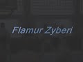 Flamur Zyberi Taekwondo
