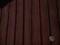 clip video Smallville Everything