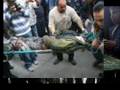 videos de gaza bougtob