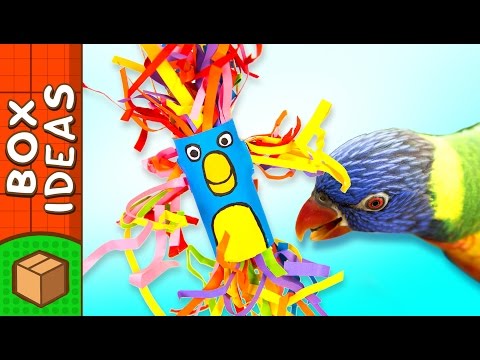 Bird Cage Decoration