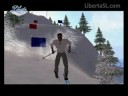 Presentation of Liberta in Second Life