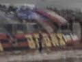 casertana, Fedayn bronx81