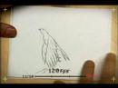 Libro de Dibujo