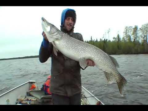 Little Vermilion Lake, Monster Pike, ...
