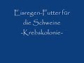 Eisregen-Futter für die Schweine Eisregen-Futter für die Schweine