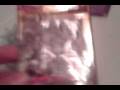videos de Opening some Yugioh Cards and A Black Rose Dragon Tin:Part 1
