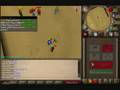 Woodworm666 Duel arena with BGS