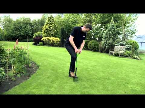 how to care lawn
