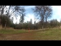 xr 50 at home