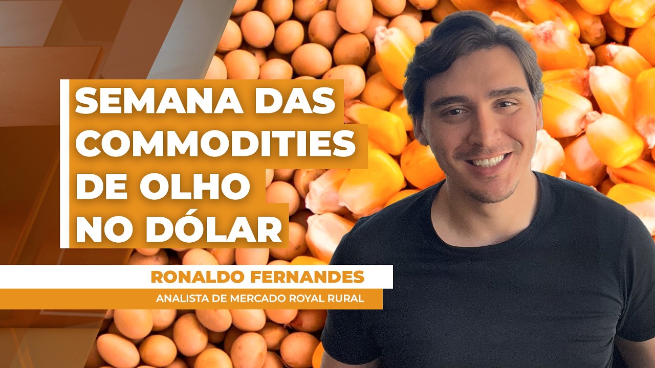 Despencada do dólar frente ao real faz milho perder mais de R$ 2,50 por saca no preço futuro