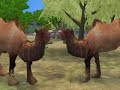 My Zoo Tycoon 2 Animal Downloads
