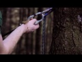 YouTubeサムネイル[lXVniHc5JiI] - 2枚目