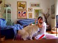 Samoiedo My Dog DADO