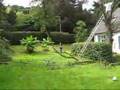 Cor Snor gaat loos in de perenboom