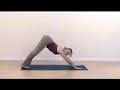 Downward Facing Dog Pose ~ \"How To\" Video Downward Facing Dog Pose ~ \"How To\" Video