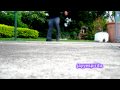 Cwalk - Dedication to Ynez