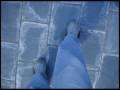 videos de CARNAUVA - Se va el flaco - metamate - 2006