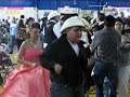 banda san pedro  de nopala oaxaca yjaripeo