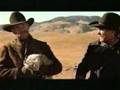 Cat Herders