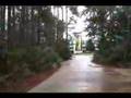 Disney All-Star Sports Resort
