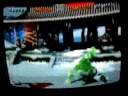 MKK NACIONALES ROUND 2 KILLER INSTINCT CF NELIO VS MATUTE MKK NACIONALES ROUND 2 KILLER INSTINCT CF NELIO VS MATUTE
