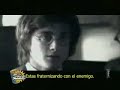 Harry Potter Gay??? Harry Potter Gay???
