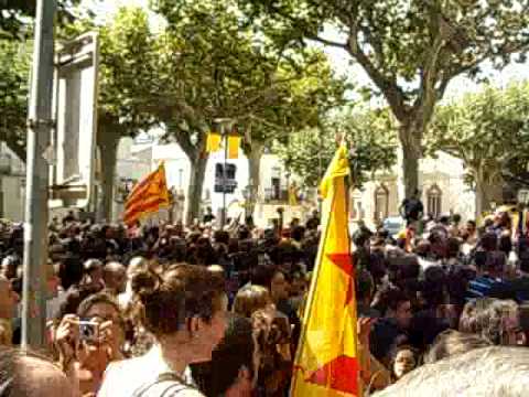 Ambient festiu i massiu a la consulta d'Arenys de Munt