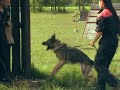 Braian di Casa Milocco - Training