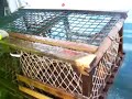 lobster fishing