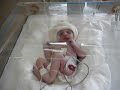 Lucas Zorzi Abuid 28112009