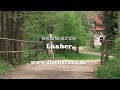 Die schwarze Laaber zwischen Regensburg und dem Ort Laaber in der Oberpfalz