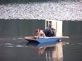 Home grown airboat
