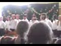Kwiat paproci-Sylwia Kajdan Kwiat paproci-Sylwia Kajdan