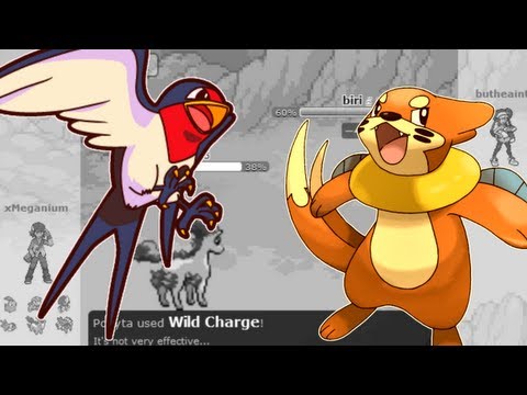 pokemon showdown pokemon showdown