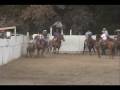 videos de Lo Mejor del Coleadero Lienzo Charro El Fourteen