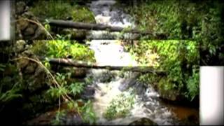 Informativo “Boyacá biodiversa” Edición 5