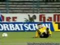 fussball pannen