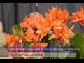 Maryland Home and Garden Show(Craft Show), Timonium, MD, US - Picture