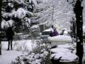 videos de Neve in via Fermi 3