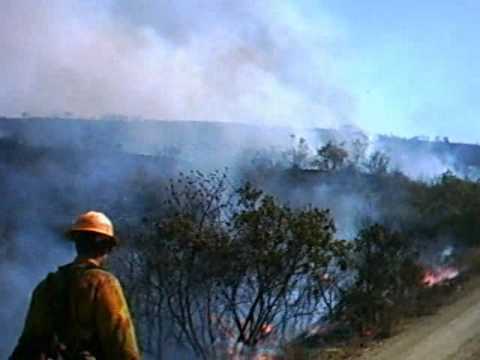 San Mateo Fire (Video 4)