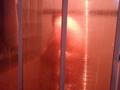 videos de PORKY SHOWER.AVI