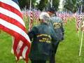 Healing Field Sample Video