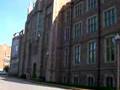 在Washington U in ST. Louis挺台灣05/29/2008 part II