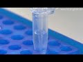 DNA/RNA分析用マイクロチップ電気泳動装置 : DigInfo