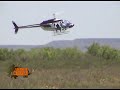 vamosdecaceria.com - Helicopter deer management